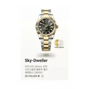 로렉스 스카이드웰러 42mm 2876만